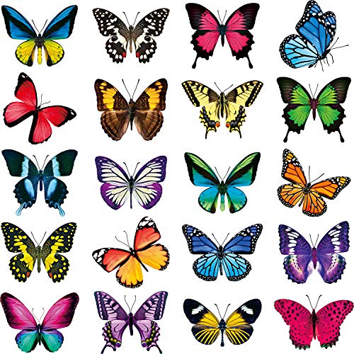 20 Pieces Large Size Butterfly Window Clings Anti-Collision Window Clings Decals to Prevent Bird Strikes on Window Glass Non Adhesive Vinyl Cling Butterfly Stickers Cling Decor
