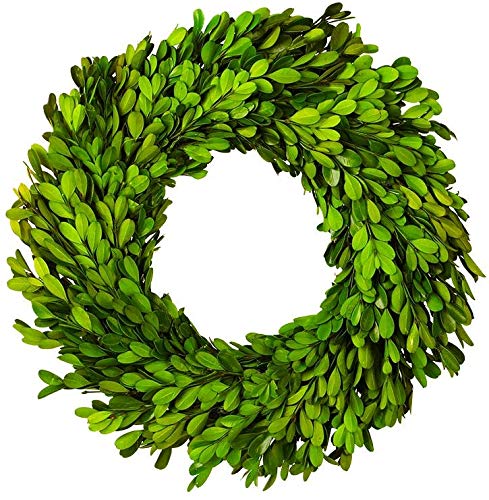 Boxwood Wreath Preserved Nature Boxwood Wreath 12 Inch Home Decor Stay Fresh for Years Spring Summer Fresh Green Wreath Farmhouse Holiday Home Decor